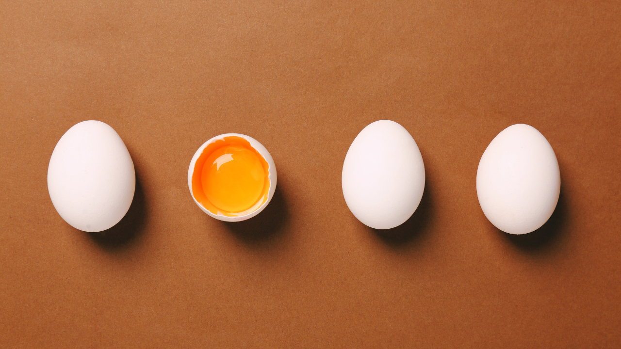 5 Ways to Enhance Egg Quality
