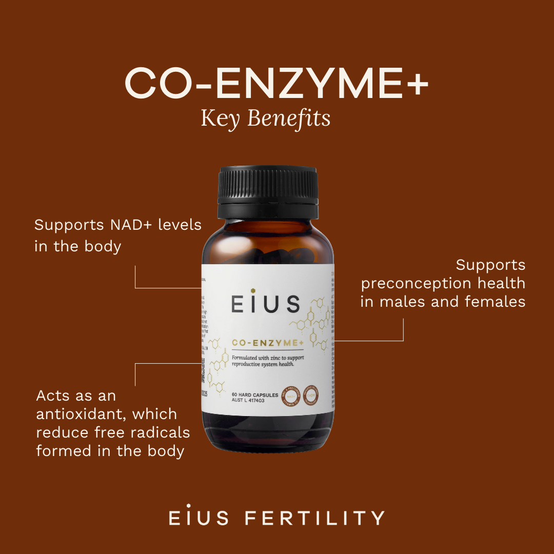 CO-ENZYME+